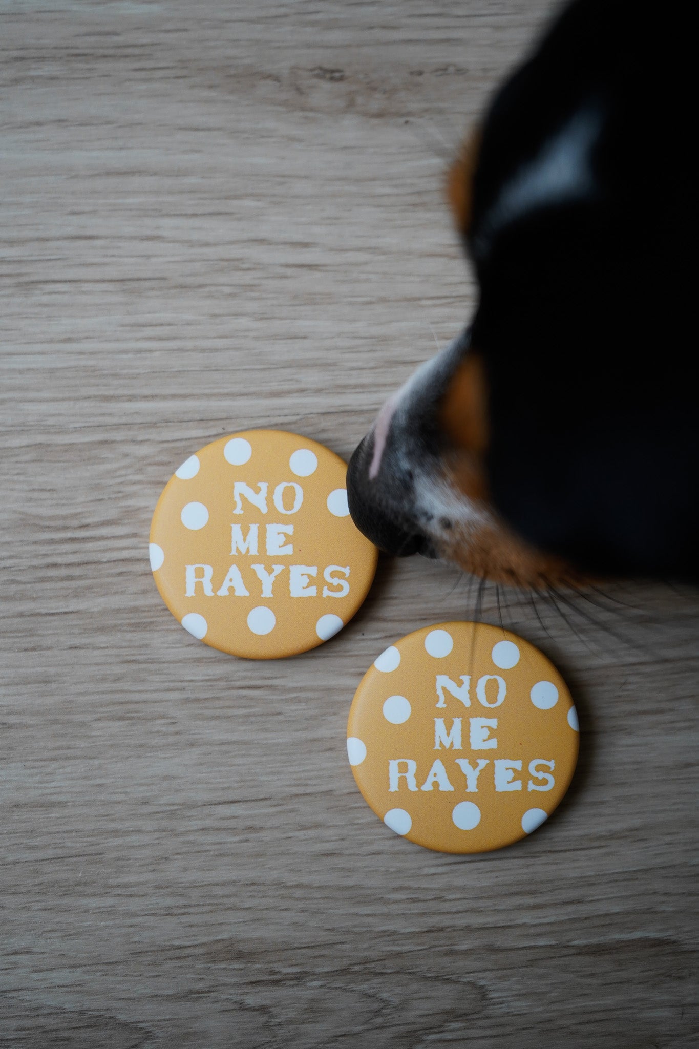 Chapa de No me rayes