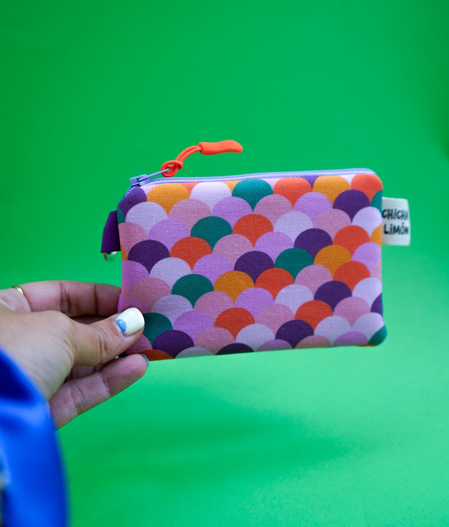 Monedero de escamas colores