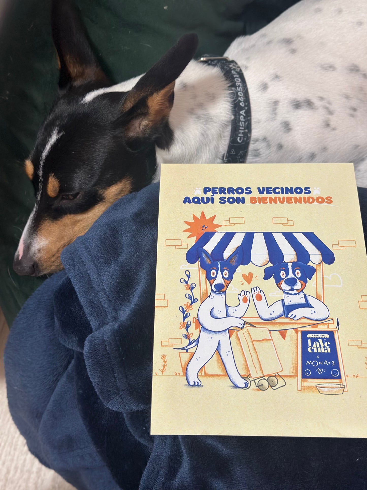 Lámina "Perros vecinos bienvenidos" La Mona x La Vecina