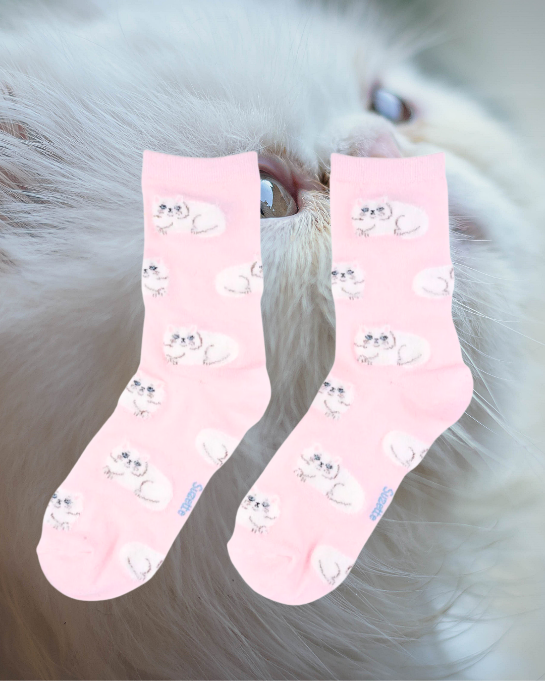 Pink socks White cats