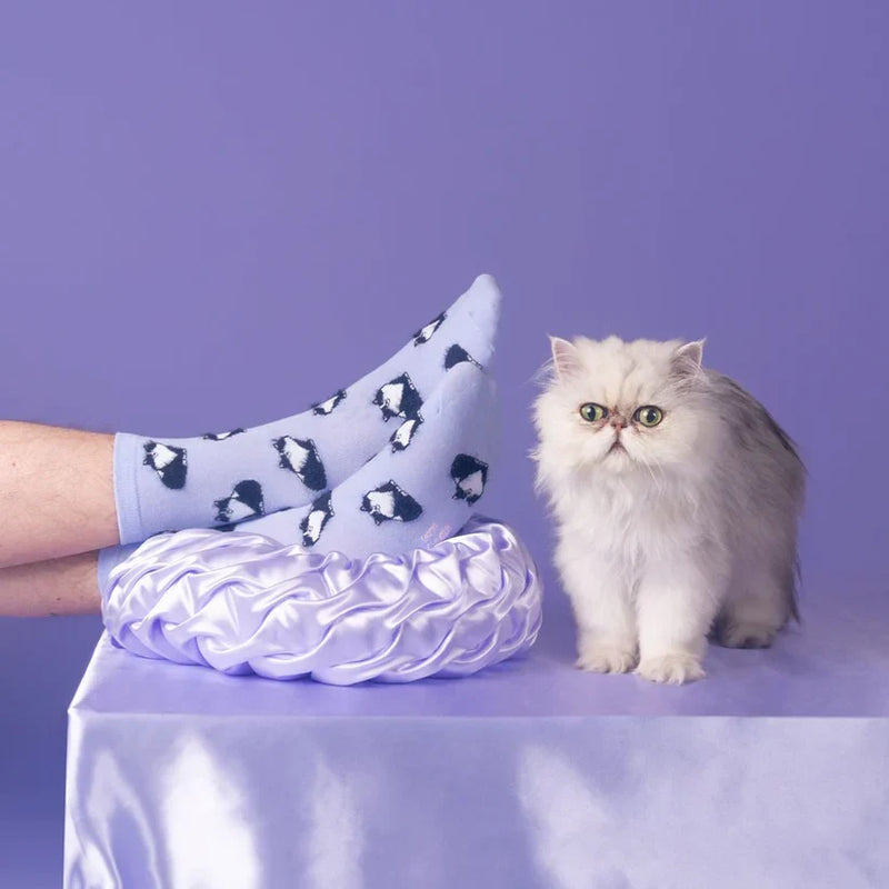 REGALOS PA GATO LOVERS 😻 🐈