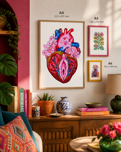 Lámina Corazón vulva
