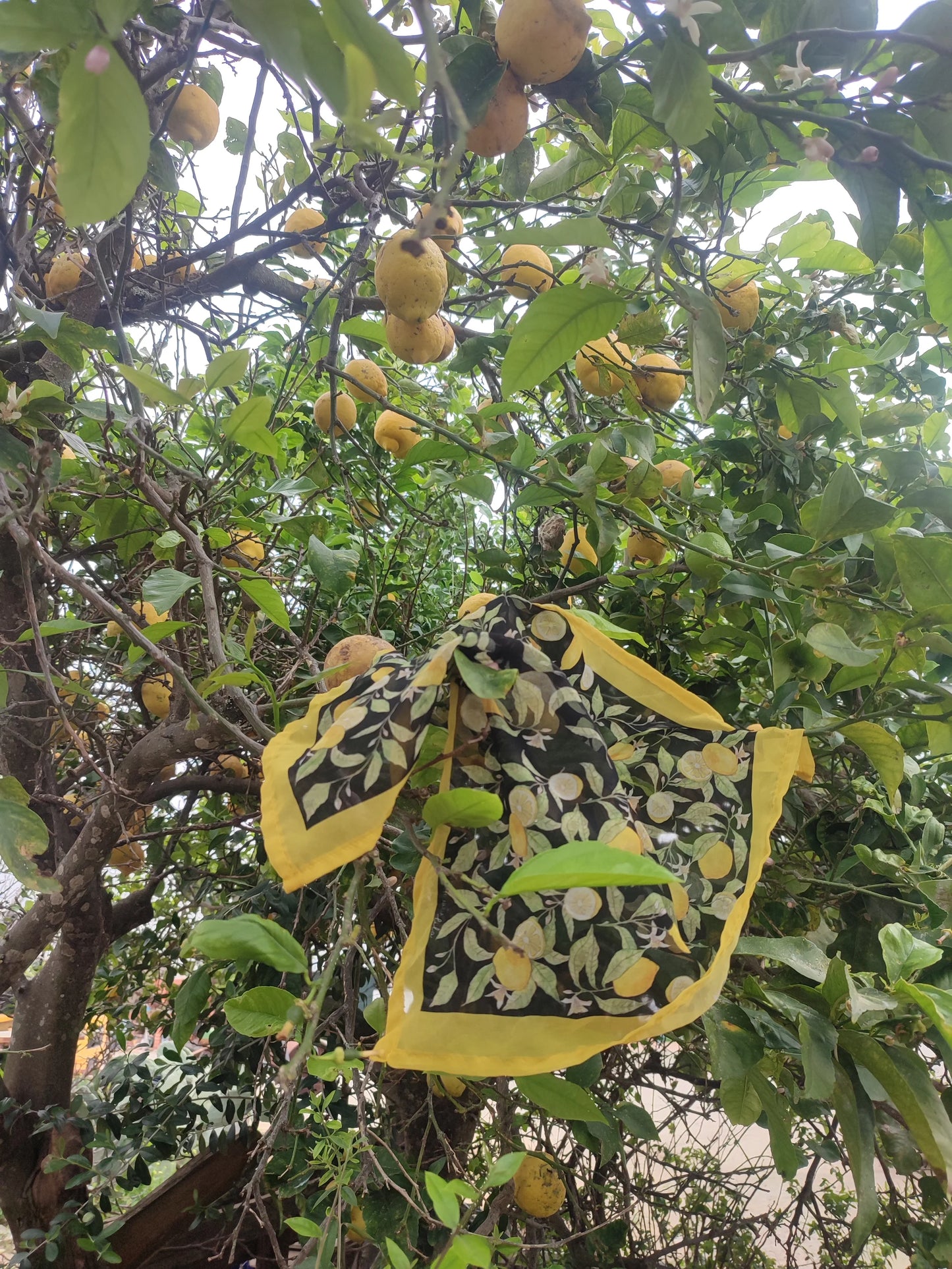 Pañuelo mediano Limones