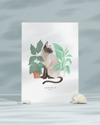 Lámina Gato blanco siamés con plantas