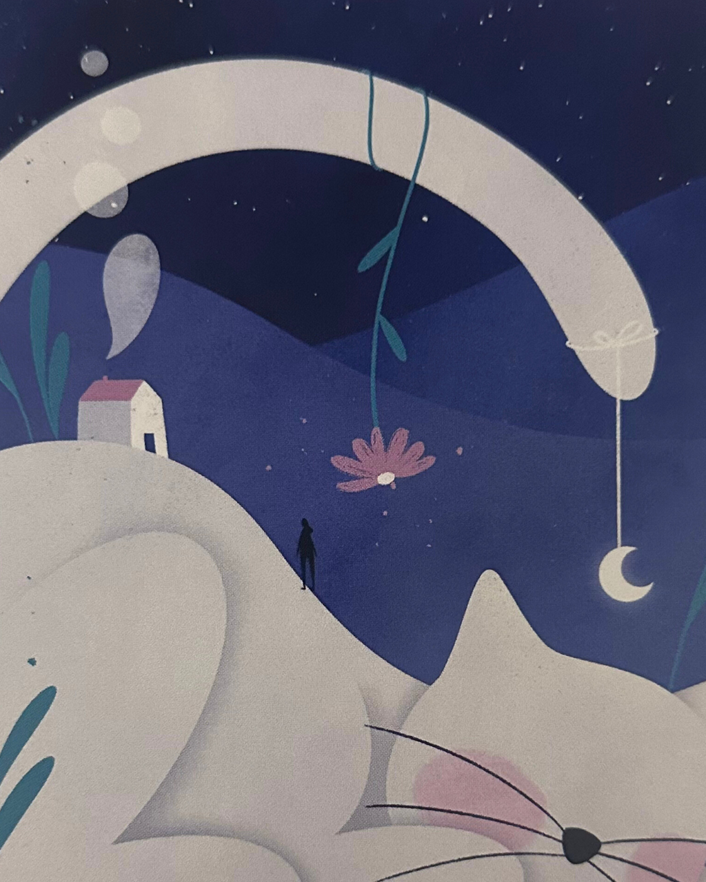 Lámina Gato casa luna
