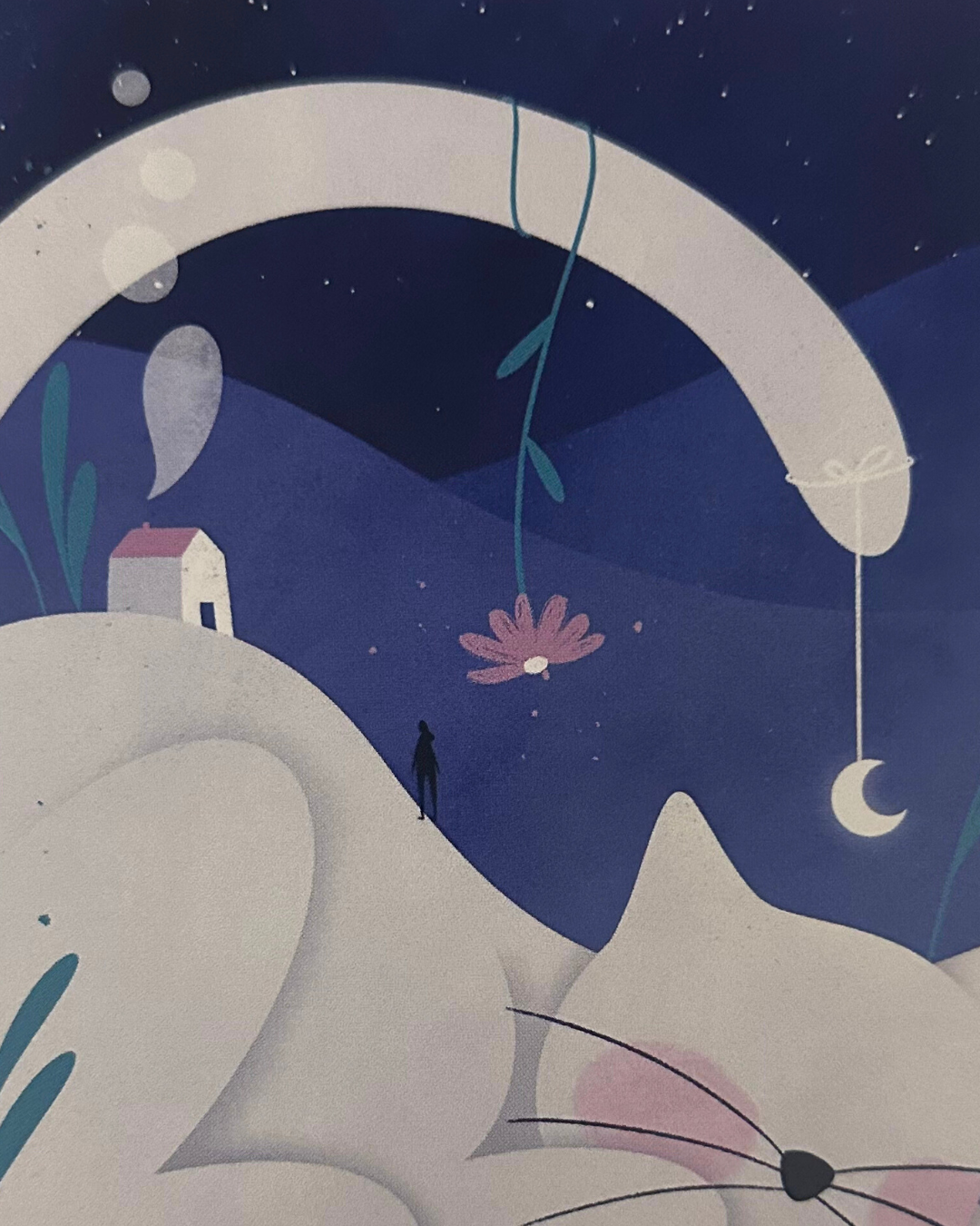Lámina Gato casa luna