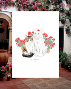 Lámina Gato blanco y gato marrón con rosas