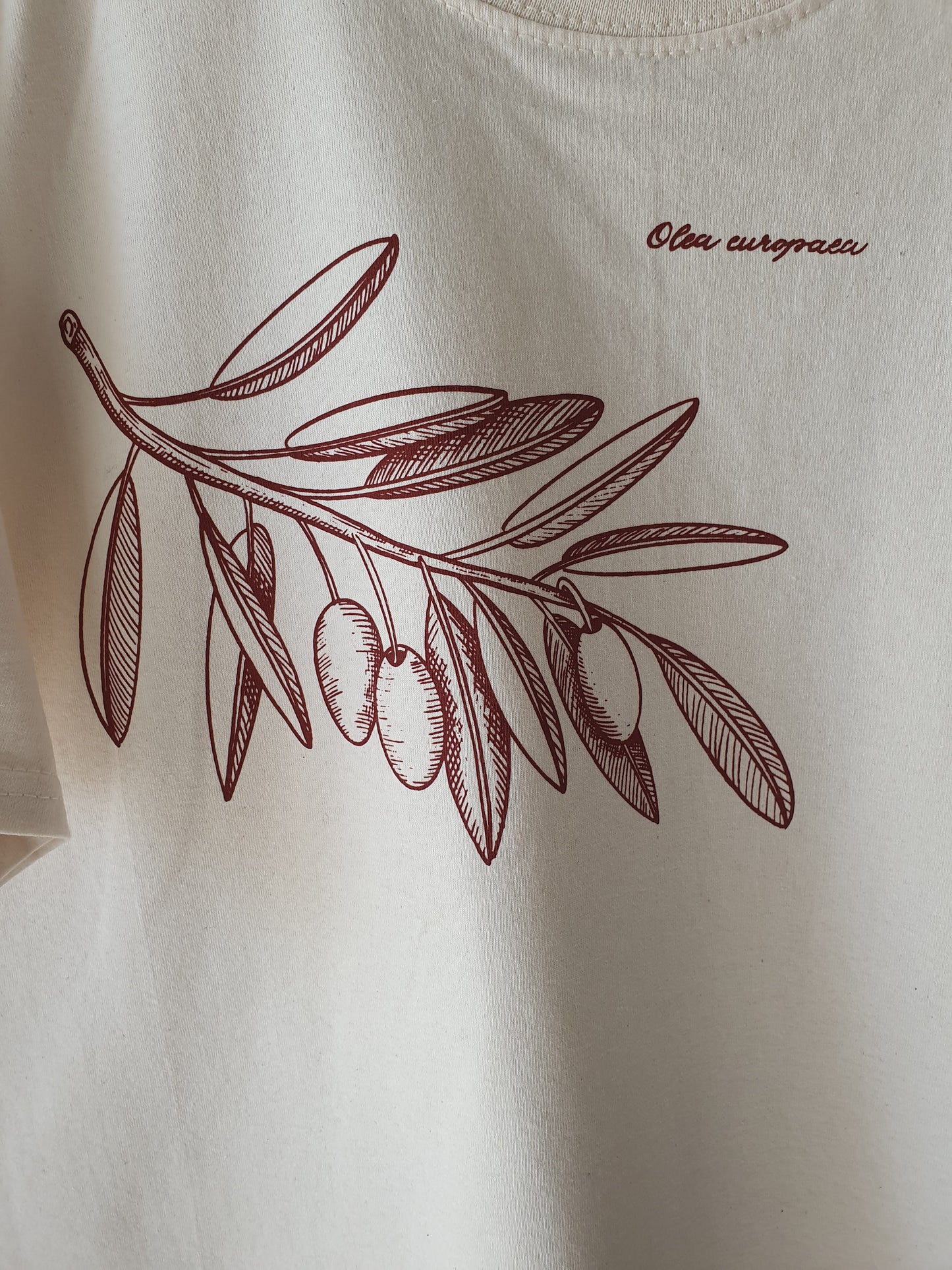 Camiseta Olivo Botánico