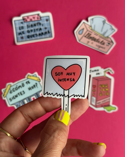 Pack 5 pegatinas - Sorry not sorry