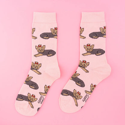 Calcetines rosa Yorkshire perro