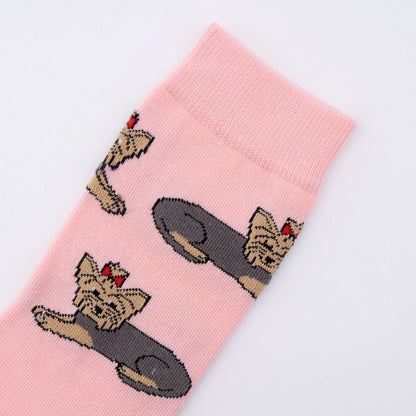Calcetines rosa Yorkshire perro