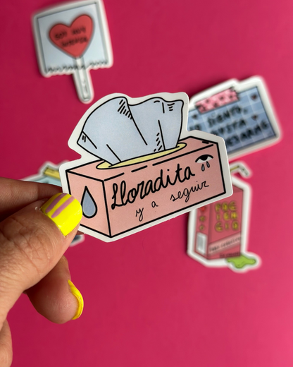 Pack 5 pegatinas - Sorry not sorry