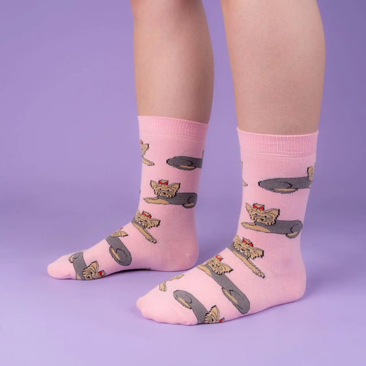 Calcetines rosa Yorkshire perro
