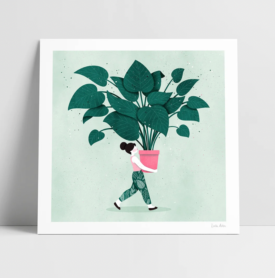 Lámina chica plantas cuadrada