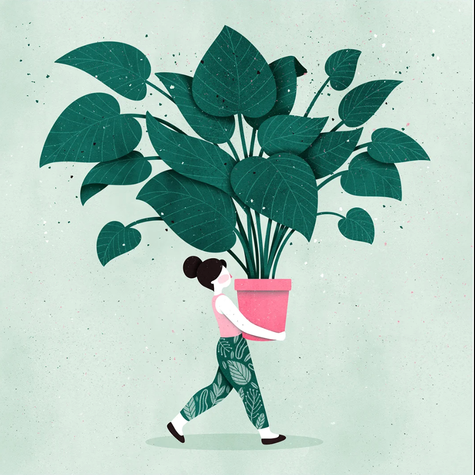 Lámina chica plantas cuadrada