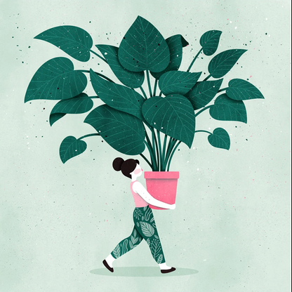 Lámina chica plantas cuadrada