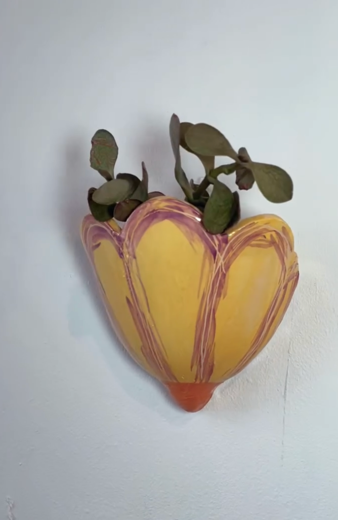 Tetas de maceta flor Amarillo