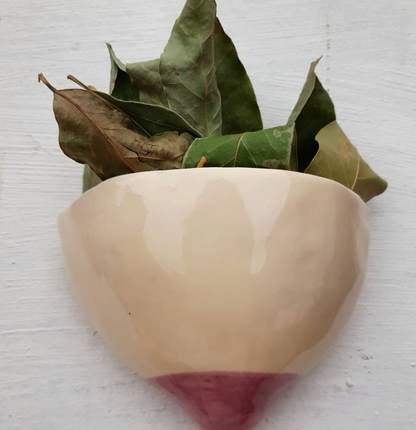 Tetas de maceta Blanco y Rosa