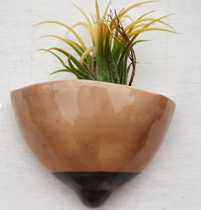 Tetas de maceta Marrón