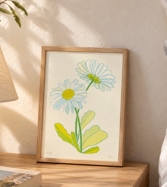 Lámina margaritas risografía