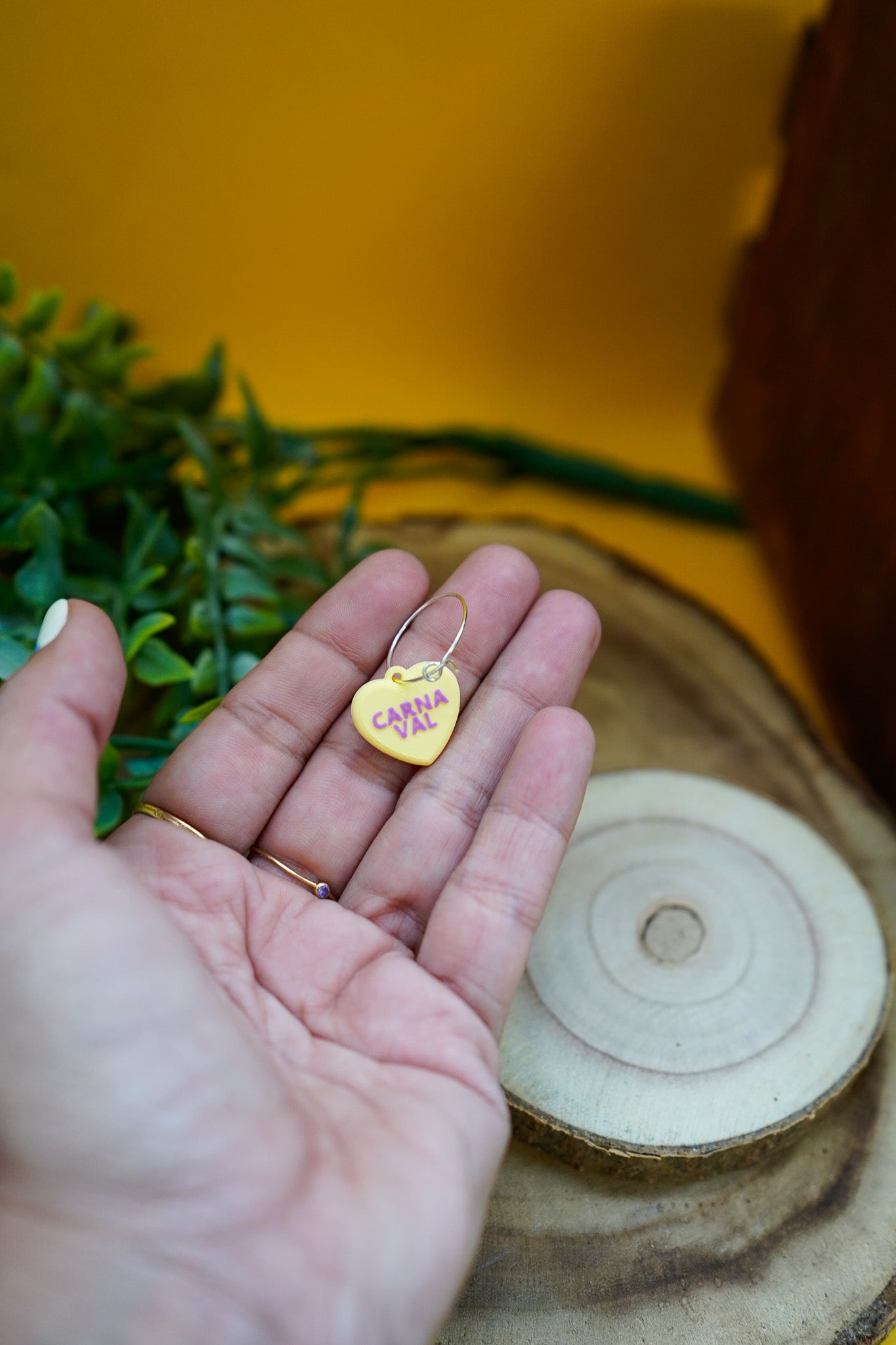 PACK CARNAVALERA 🎉