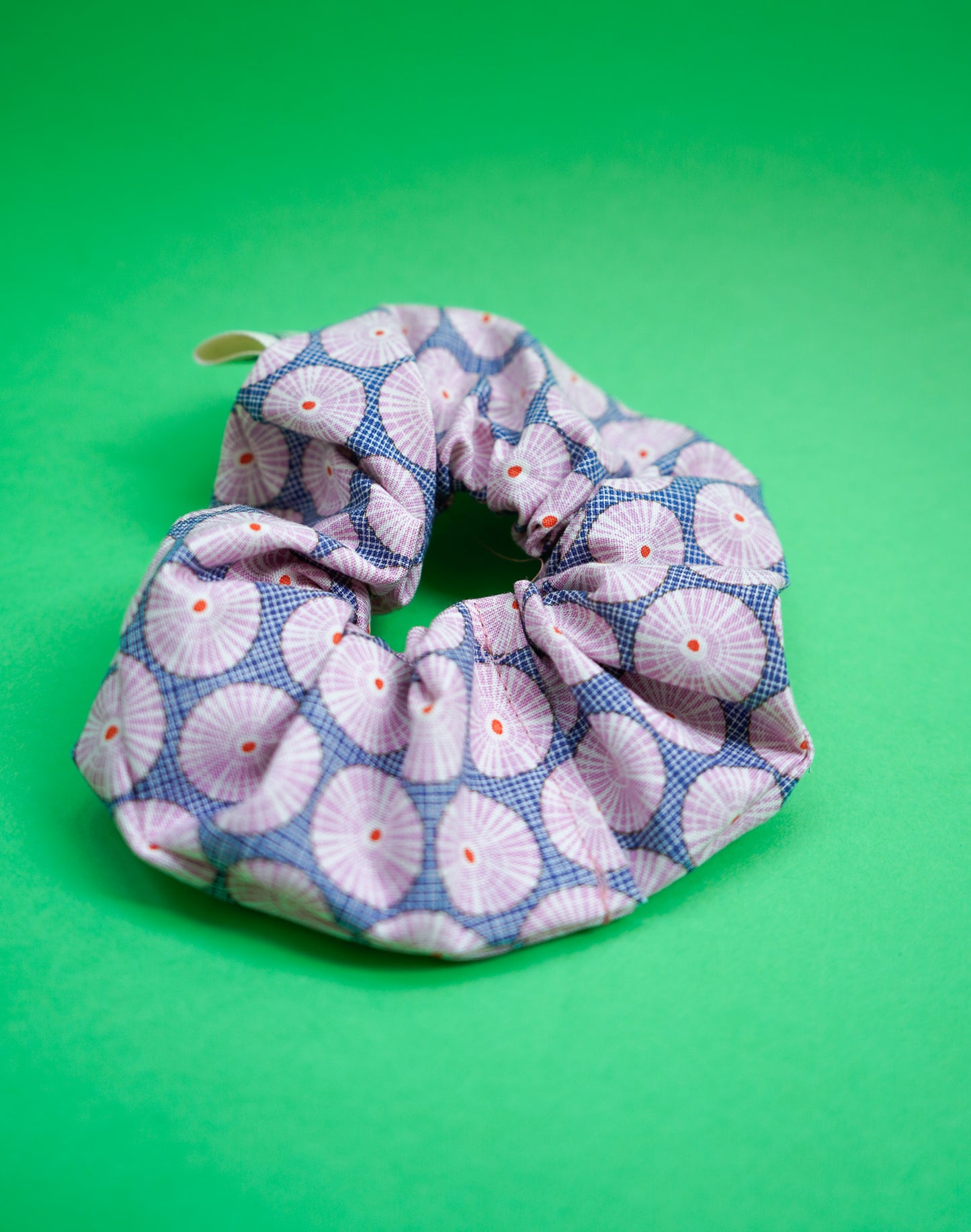 Coletero concha de mar