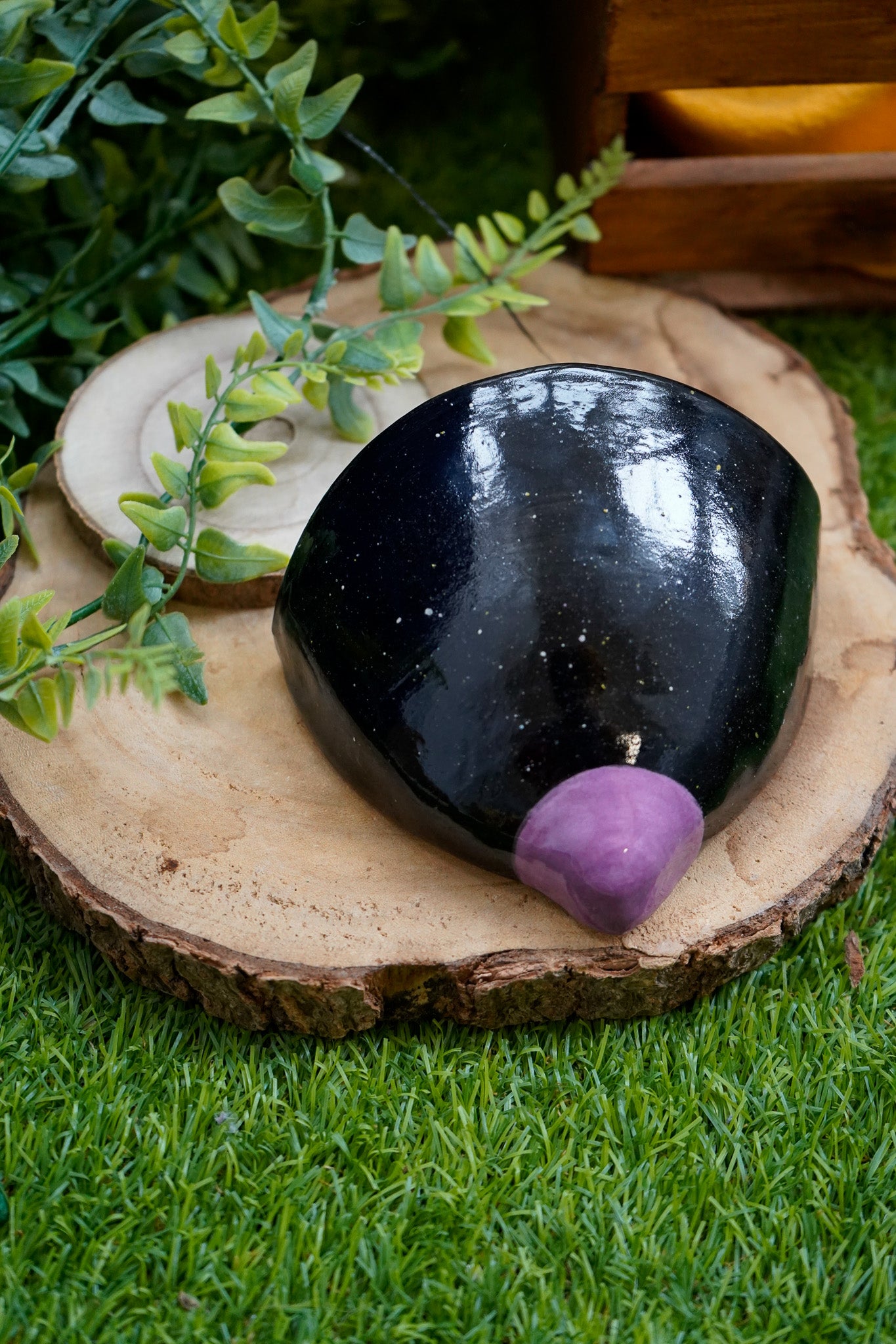 Tetas de maceta Negro y Lila