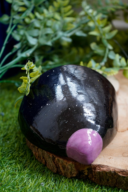 Tetas de maceta Negro y Lila