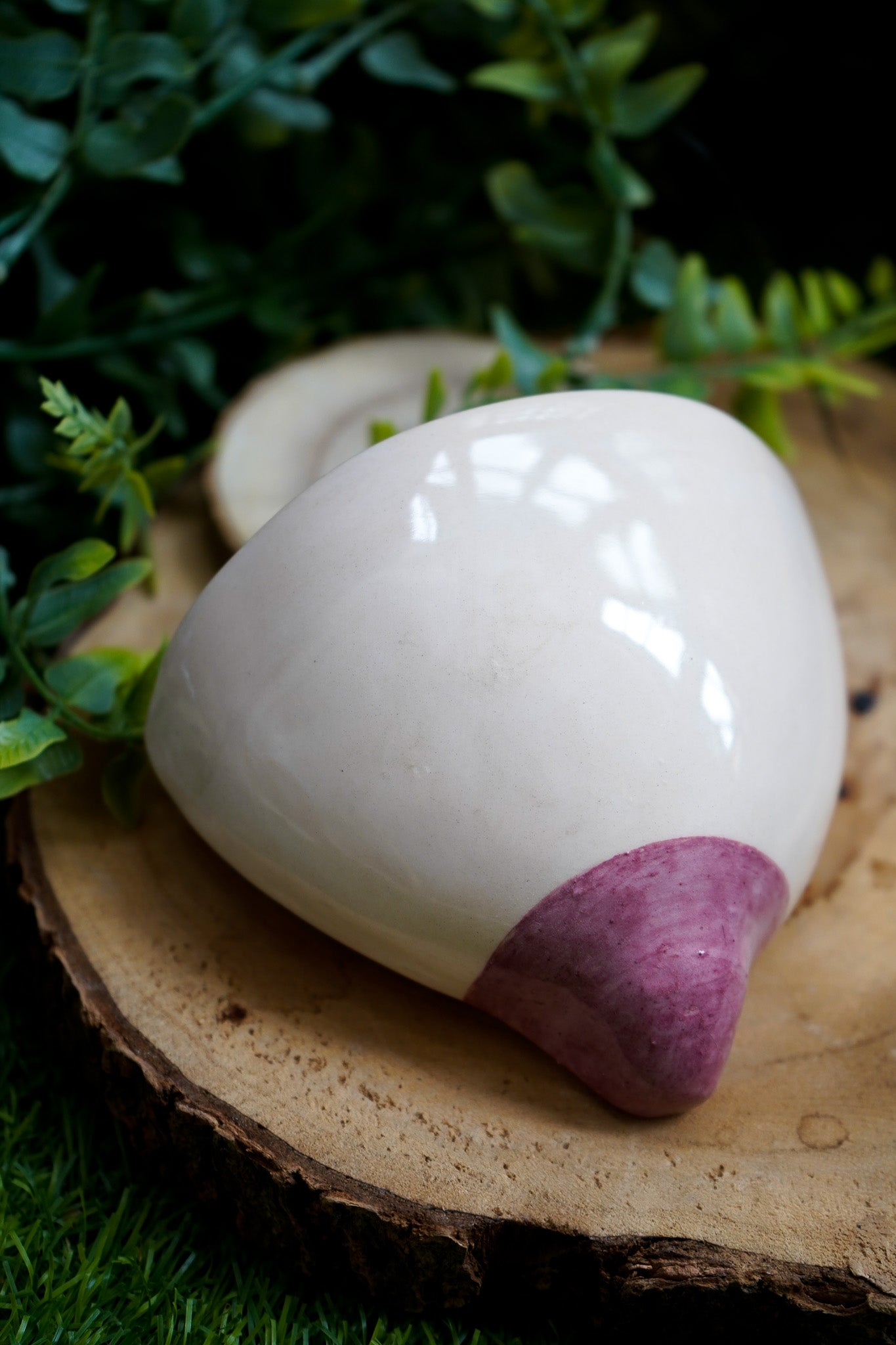 Tetas de maceta Blanco y Rosa