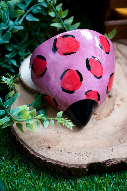 Tetas de maceta Leopardo