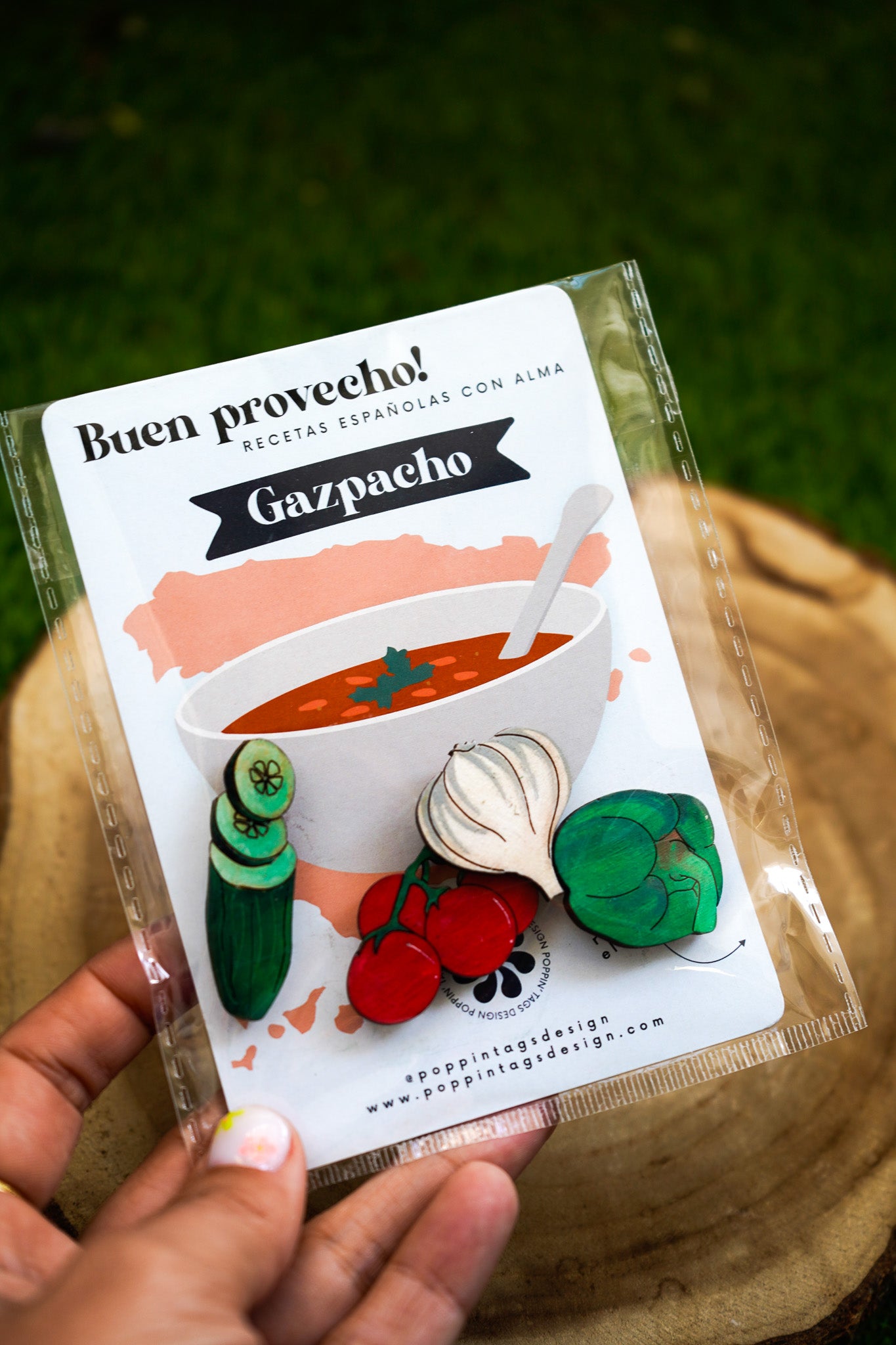 Recetas de imanes: Gazpacho