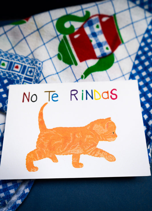 Postal gato No te rindas