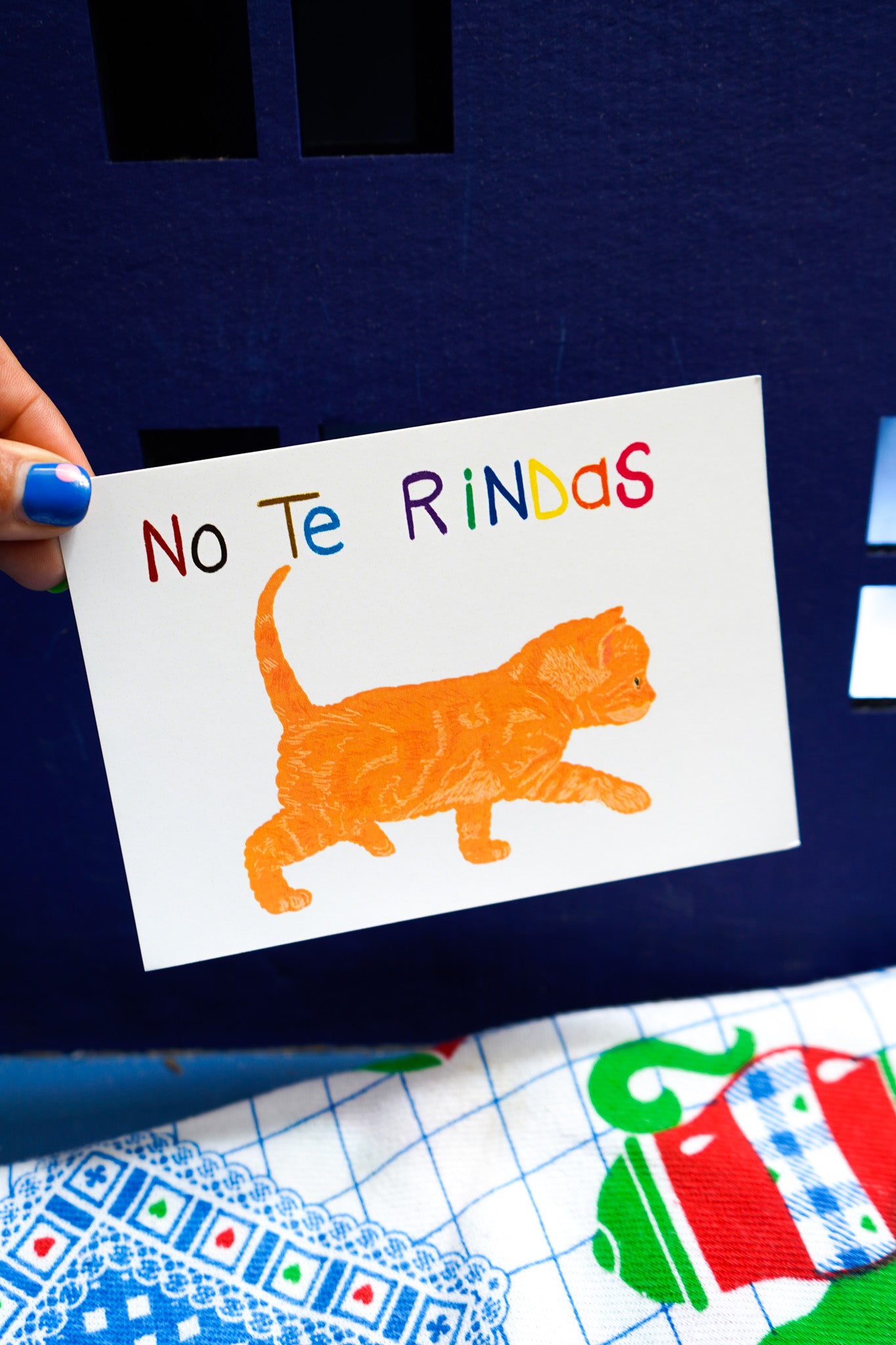 Postal gato No te rindas