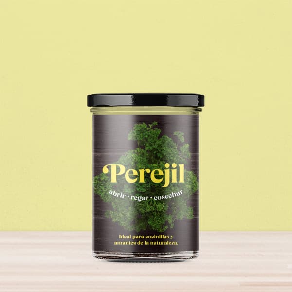 Huerto de cocina de perejil