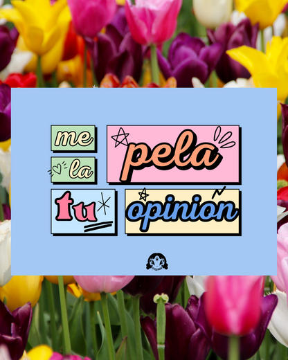 Lámina Me la pela tu opinión- Sorry not sorry