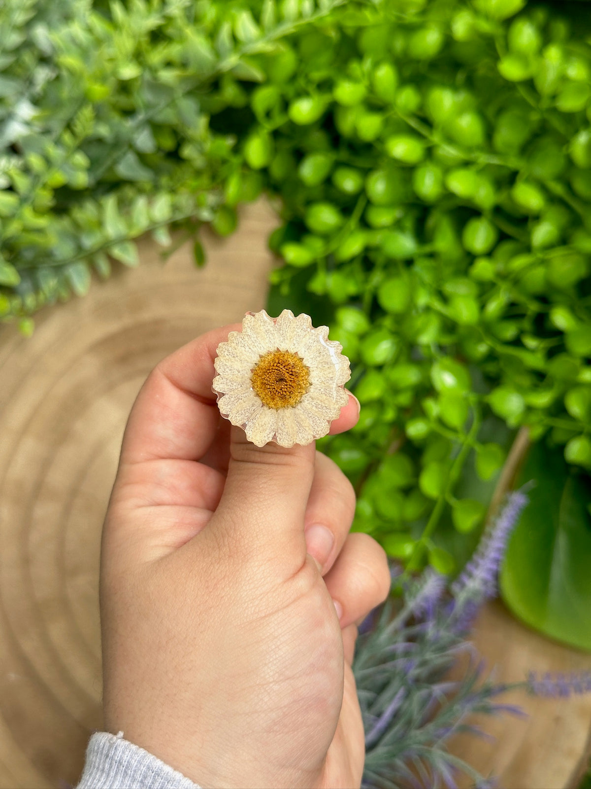 Anillo margarita blanca