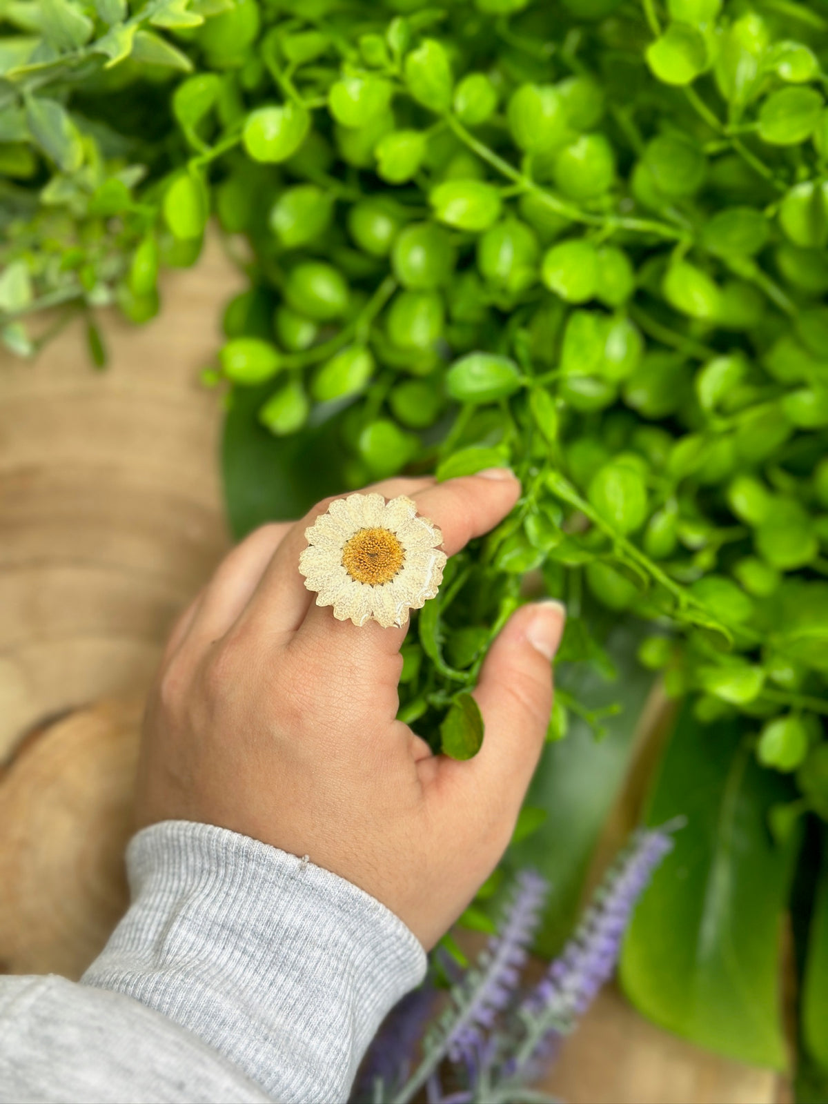 Anillo margarita blanca