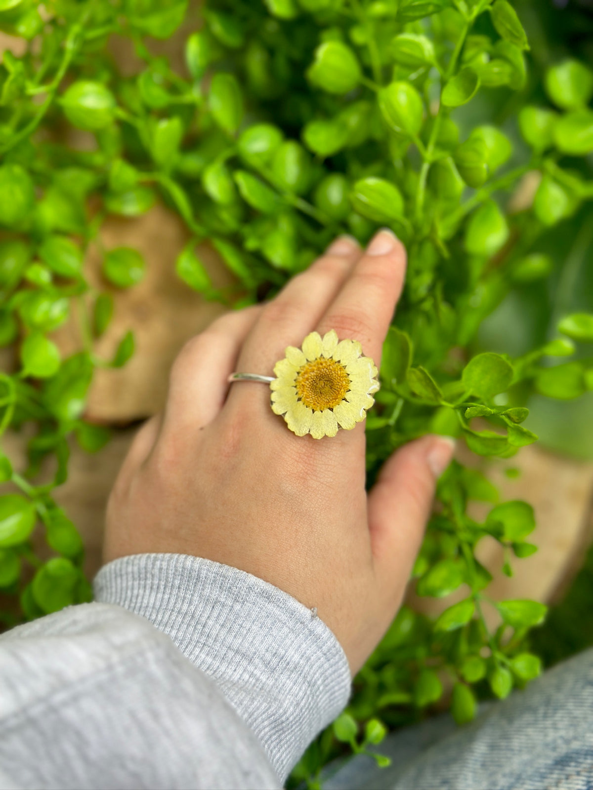 Anillo margarita amarilla