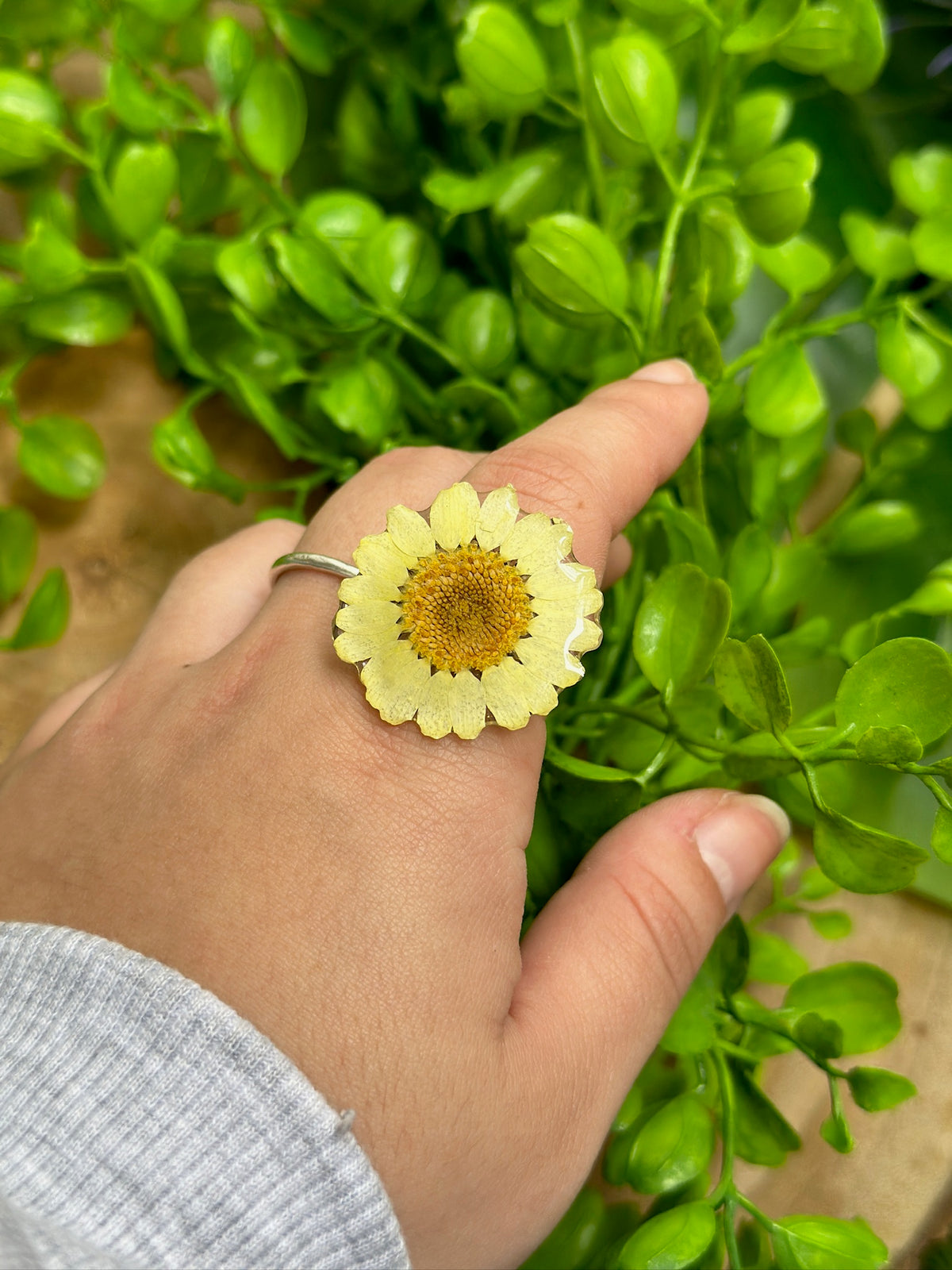 Anillo margarita amarilla