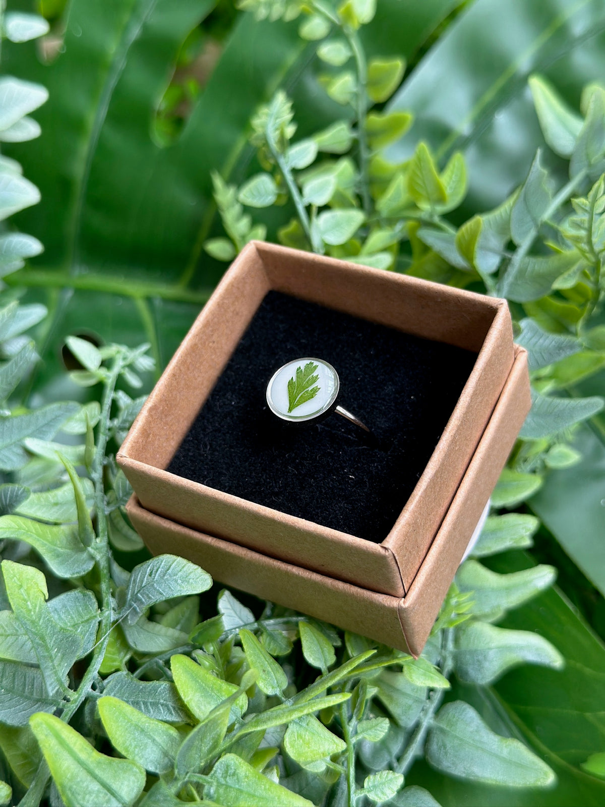 Anillo hojita fondo blanco flor