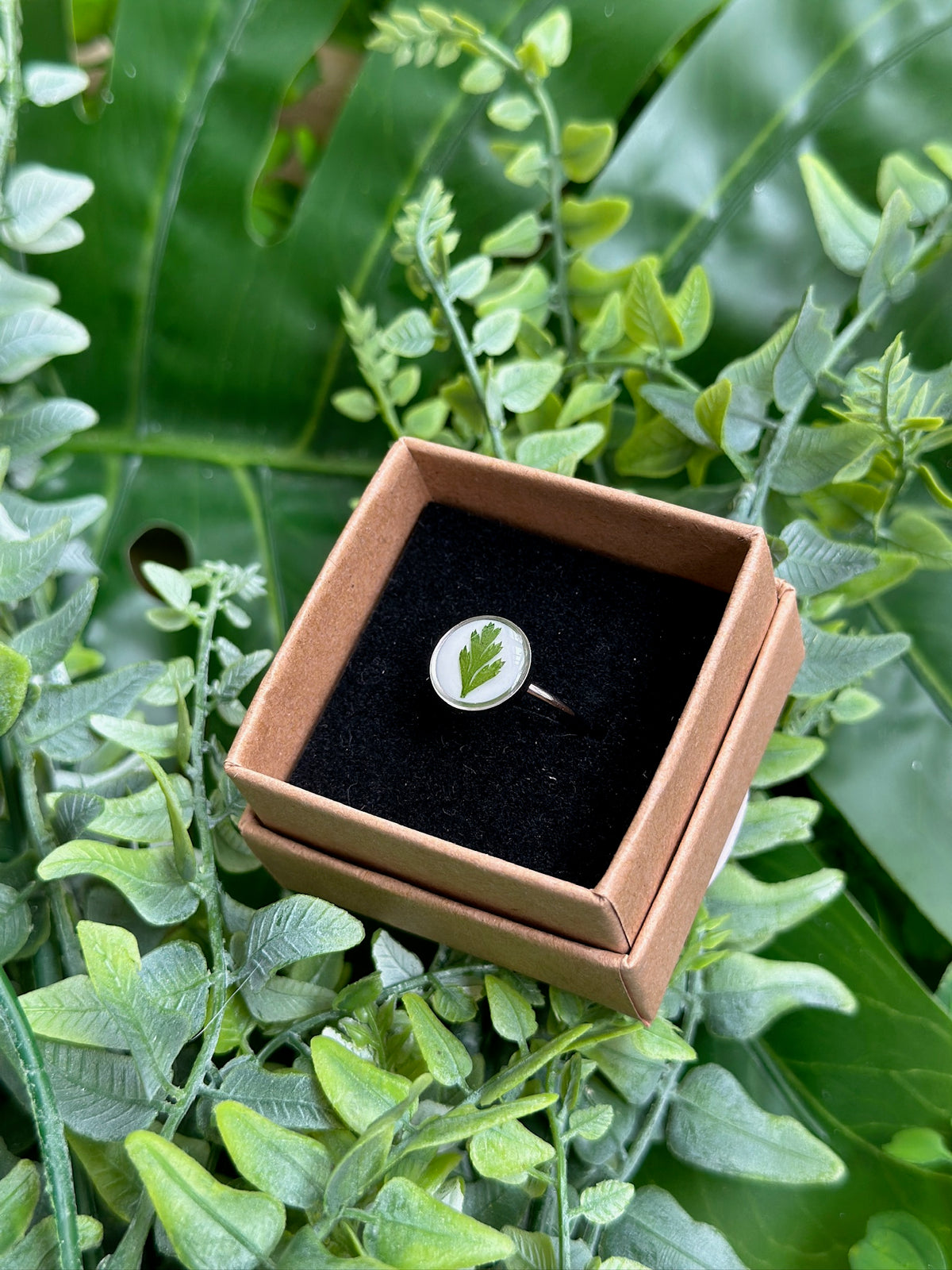 Anillo hojita fondo blanco flor