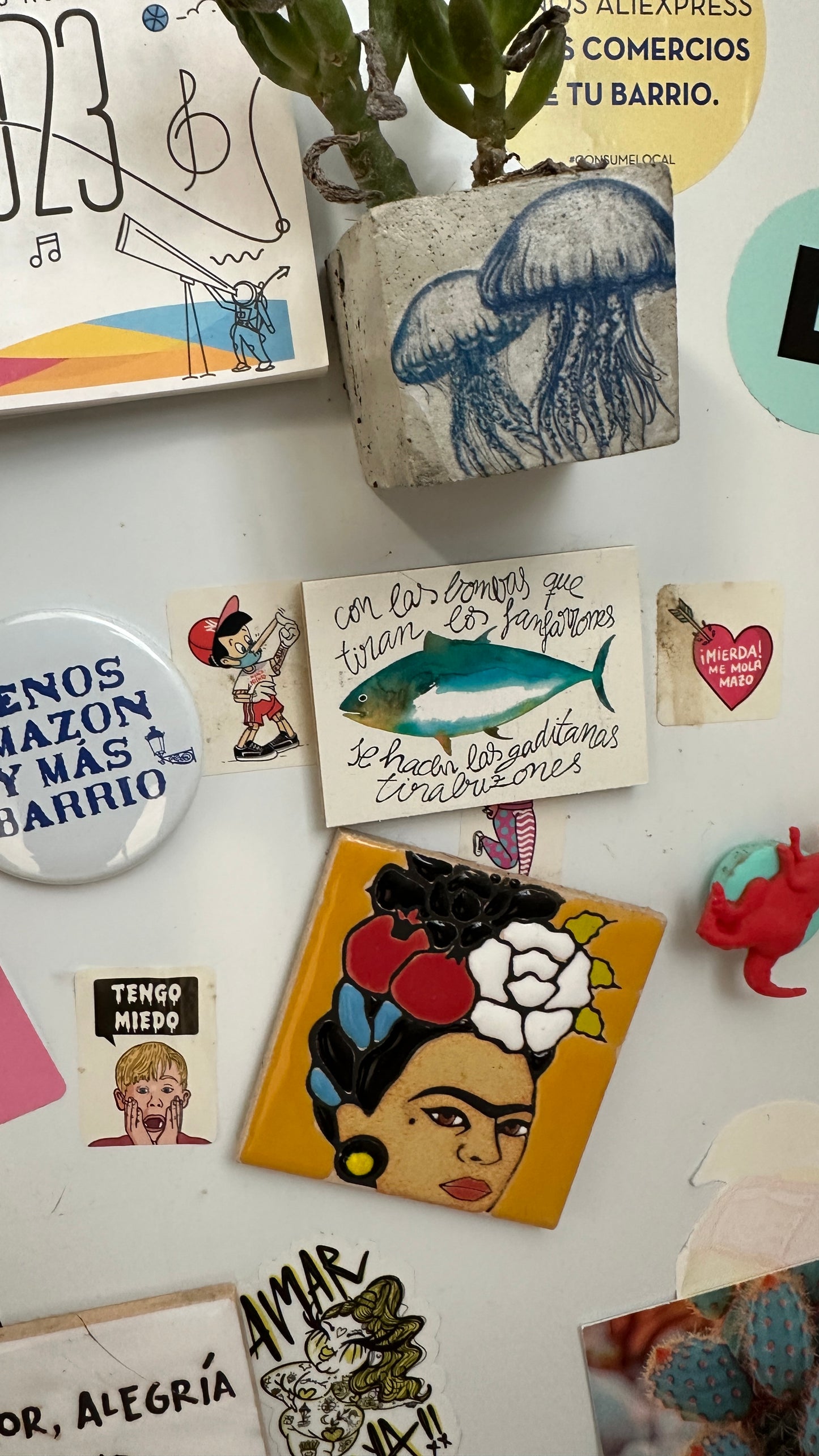 IMÁN Atún Con las bombas que tiran los fanfarrones se hacen las gaditanas tirabuzones