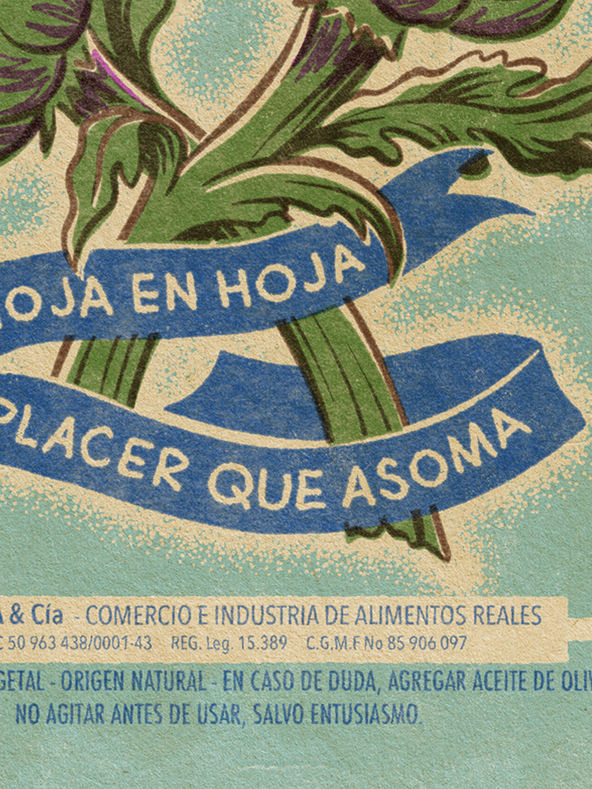 Lámina Alcachofas Cardona