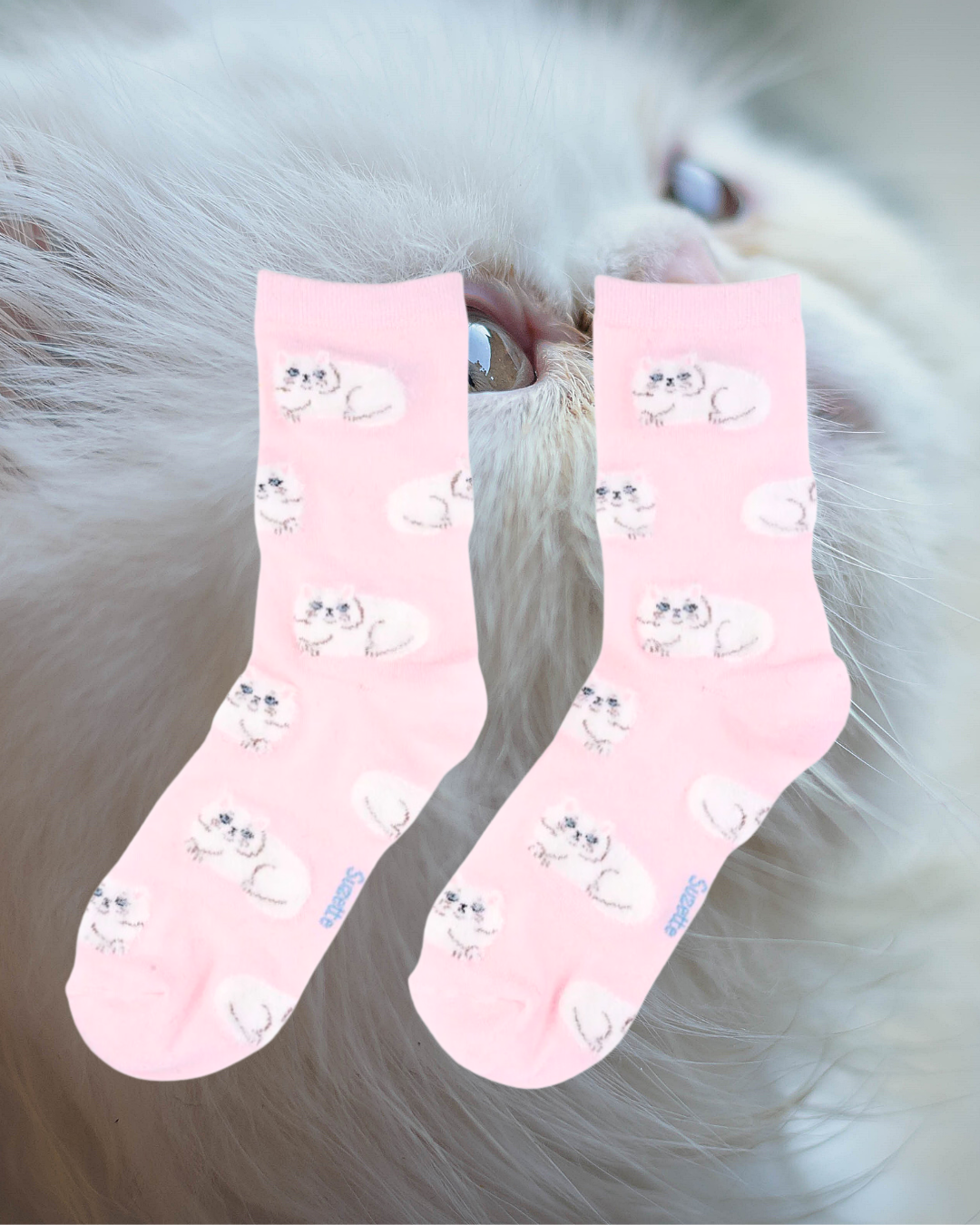 Calcetines rosas Gatos blancos