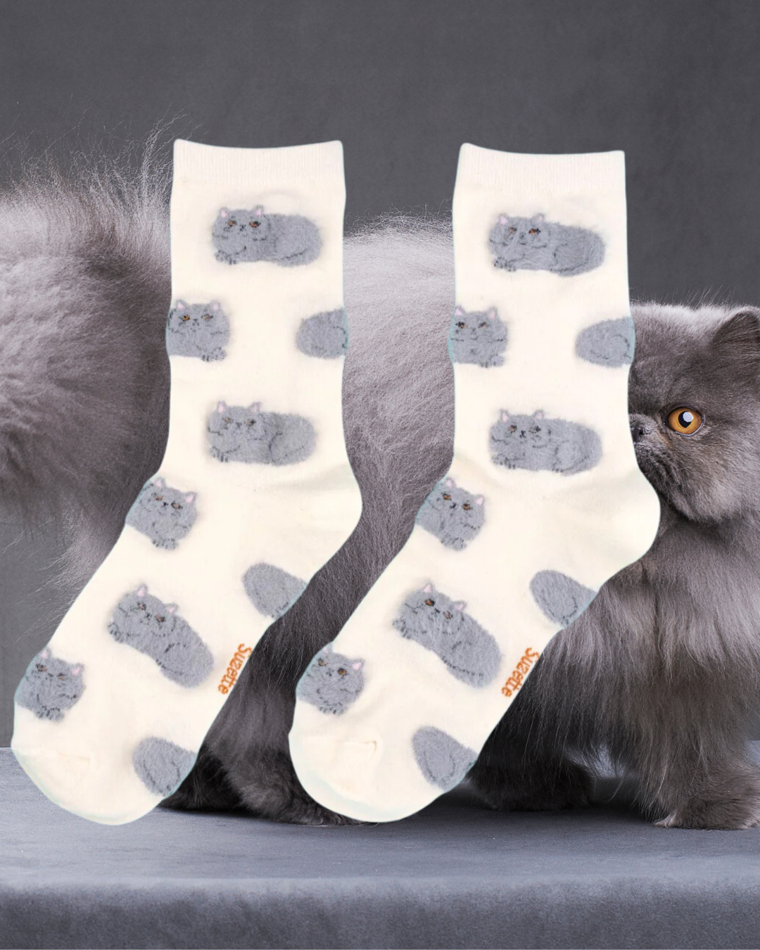 Calcetines blancos Gatos grises