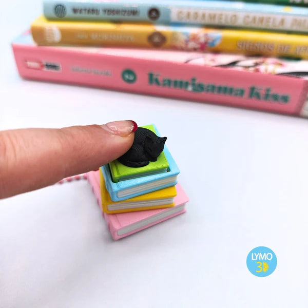 Llavero gatito con libros (clicker)
