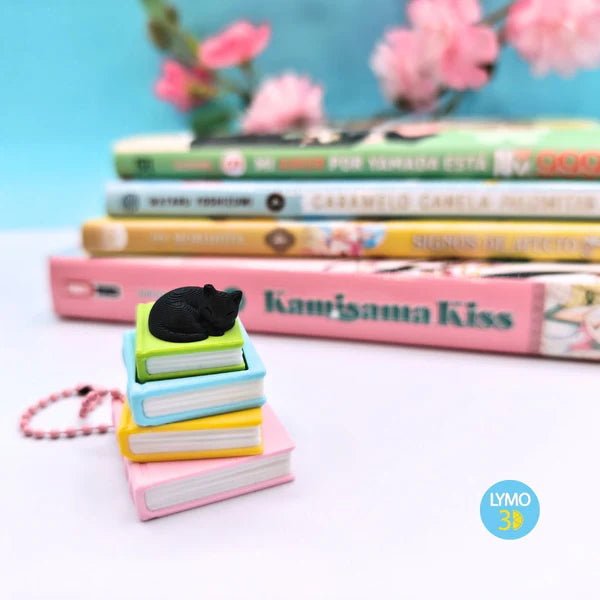 Llavero gatito con libros (clicker)