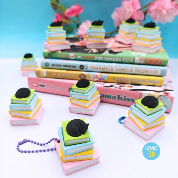 Llavero gatito con libros (clicker)
