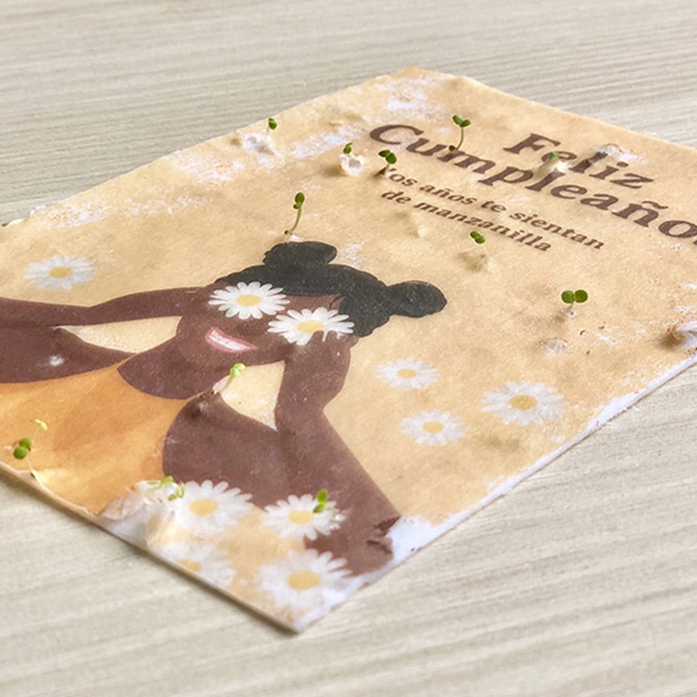 Postal plantable - Feliz cumpleaños tarta