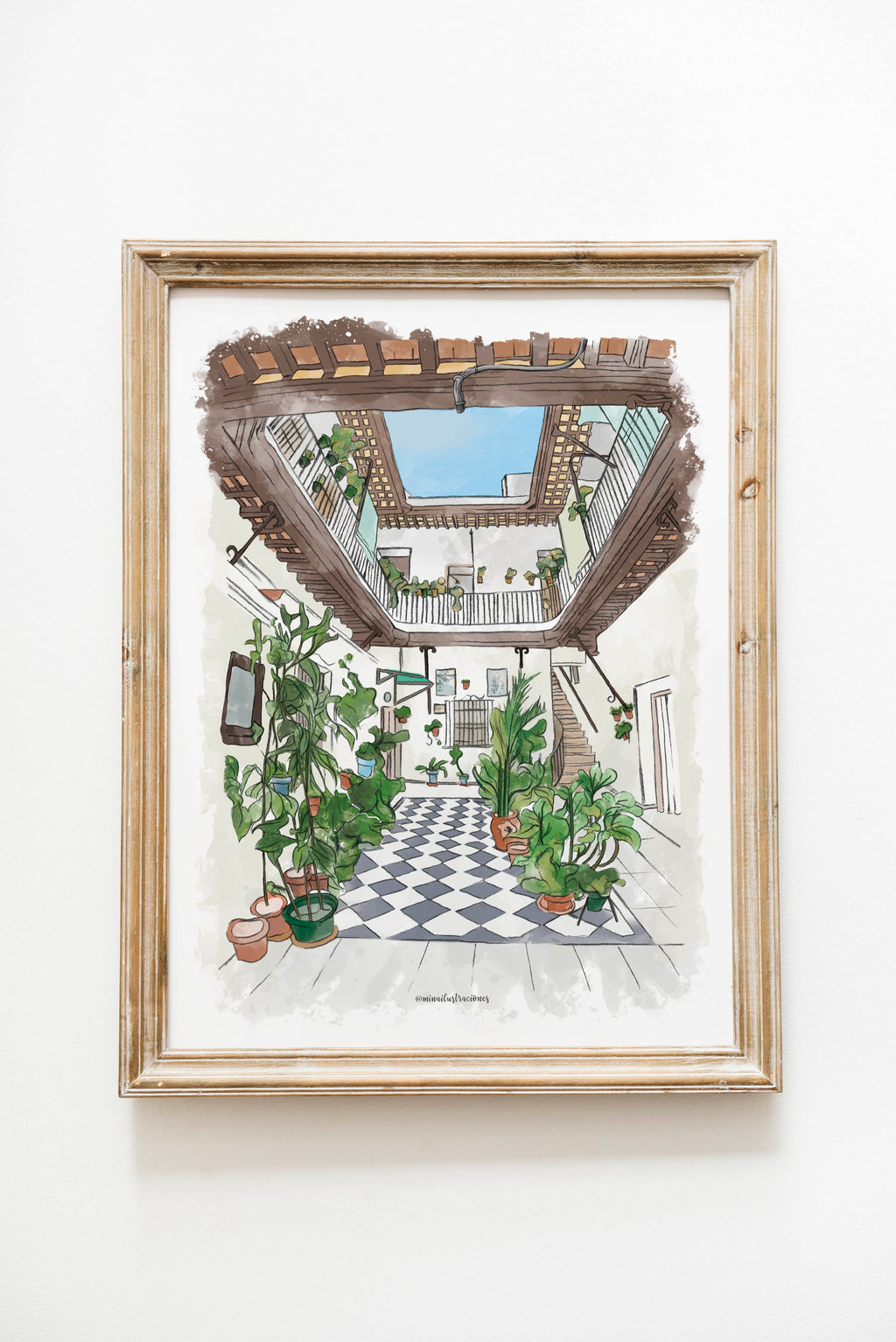 Lámina Patios de Cádiz